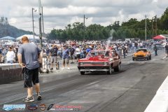 yellow-bullet-sat-169