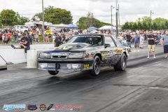 yellow-bullet-sat-173