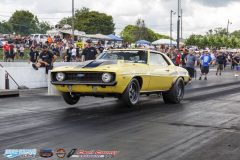 yellow-bullet-sat-176