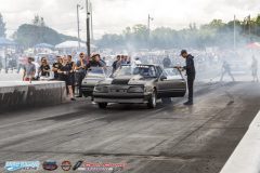 yellow-bullet-sat-177