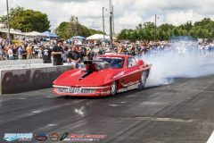 yellow-bullet-sat-185