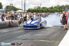 yellow-bullet-sat-188