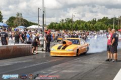 yellow-bullet-sat-190