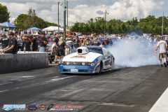 yellow-bullet-sat-196