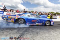 yellow-bullet-sat-201