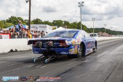 yellow-bullet-sat-204