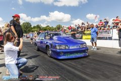 yellow-bullet-sat-223