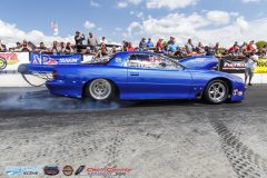 yellow-bullet-sat-230