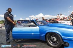 yellow-bullet-sat-238