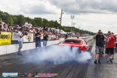 yellow-bullet-sat-245