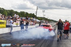 yellow-bullet-sat-246