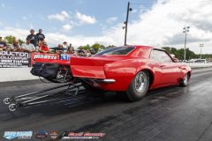 yellow-bullet-sat-248