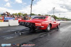 yellow-bullet-sat-249