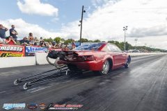 yellow-bullet-sat-258