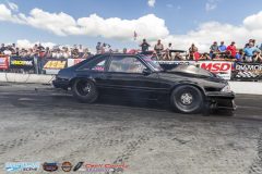 yellow-bullet-sat-259