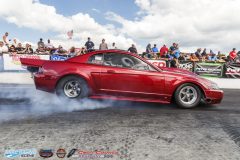 yellow-bullet-sat-269