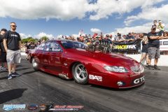 yellow-bullet-sat-277