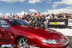 yellow-bullet-sat-278