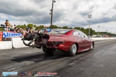 yellow-bullet-sat-281