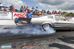 yellow-bullet-sat-286