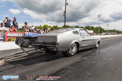 yellow-bullet-sat-289