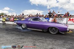 yellow-bullet-sat-291