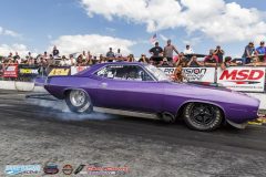 yellow-bullet-sat-292