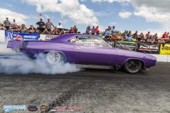 yellow-bullet-sat-293