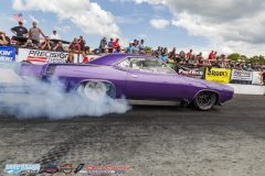 yellow-bullet-sat-294