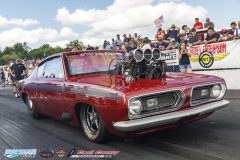 yellow-bullet-sat-303