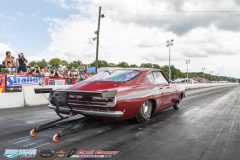 yellow-bullet-sat-305