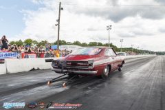 yellow-bullet-sat-306