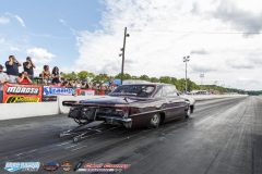 yellow-bullet-sat-314