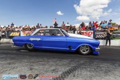 yellow-bullet-sat-317