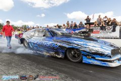 yellow-bullet-sat-340