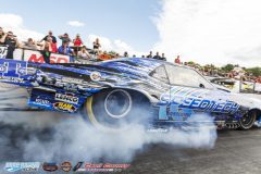 yellow-bullet-sat-341