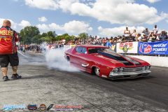 yellow-bullet-sat-369