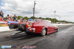 yellow-bullet-sat-373