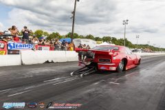 yellow-bullet-sat-387