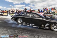 yellow-bullet-sat-392