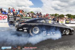 yellow-bullet-sat-395