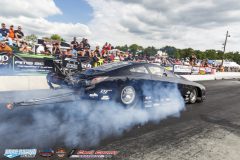 yellow-bullet-sat-396