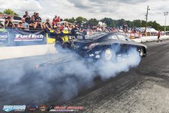 yellow-bullet-sat-397