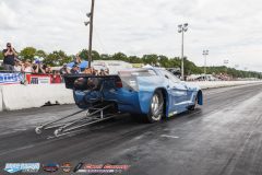 yellow-bullet-sat-419