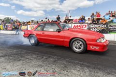 yellow-bullet-sat-438