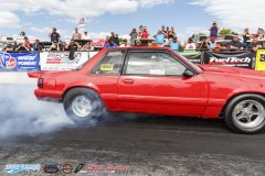 yellow-bullet-sat-439