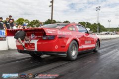 yellow-bullet-sat-446