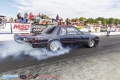 yellow-bullet-sat-459