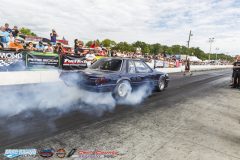 yellow-bullet-sat-461