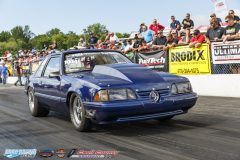 yellow-bullet-sat-480